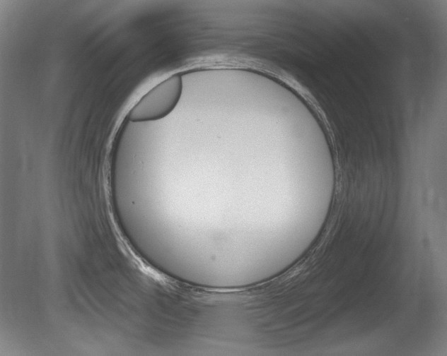 X0000080101486200612080916