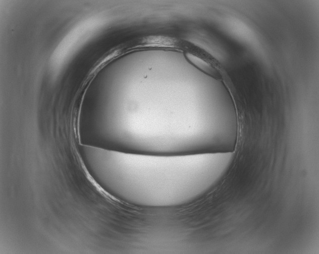 X0000080101487200612080916