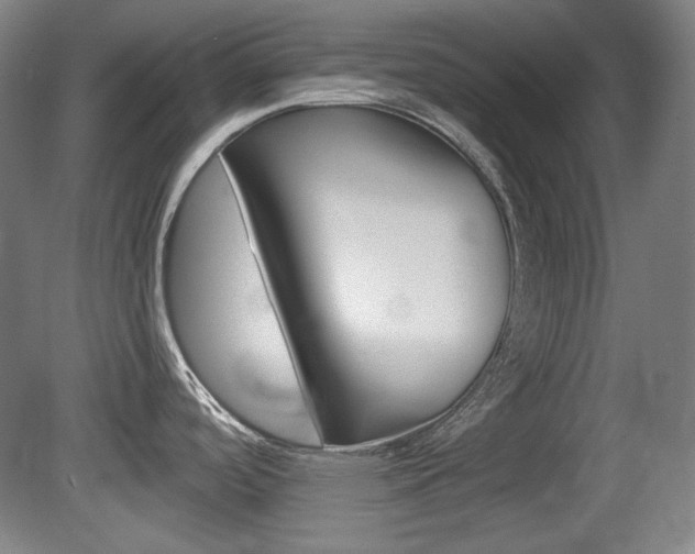 X0000080101488200612080916