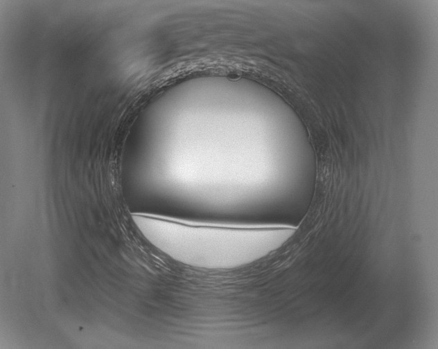 X0000080101490200612080916