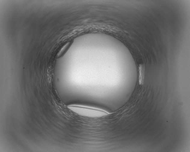 X0000080101491200612080916