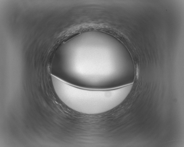 X0000080101492200612080916