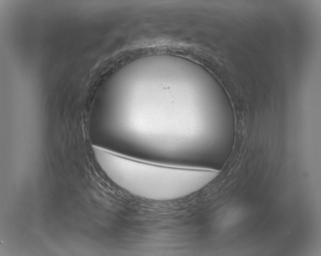 X0000080101493200612080916