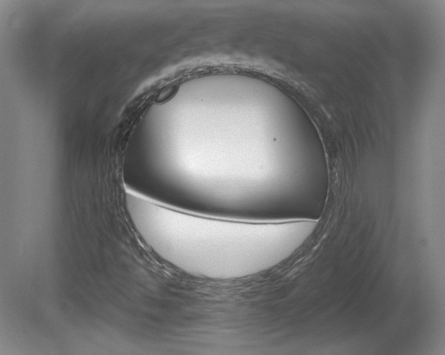 X0000080101494200612080916