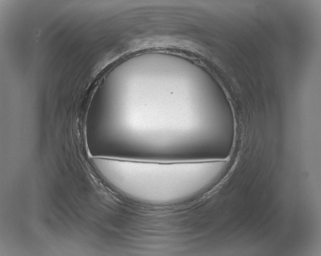X0000080101497200612080916