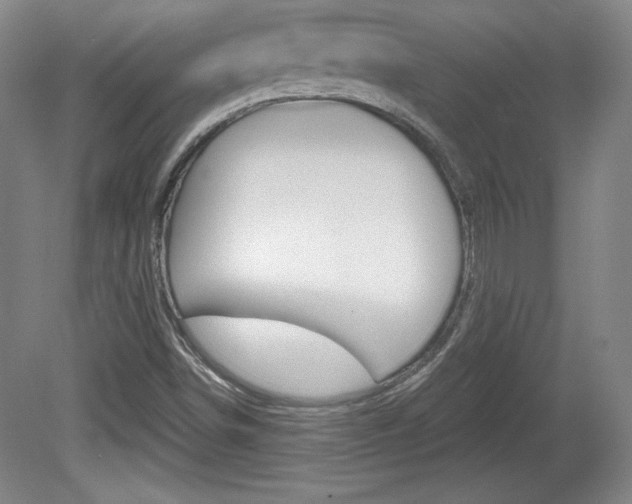 X0000080101498200612080916