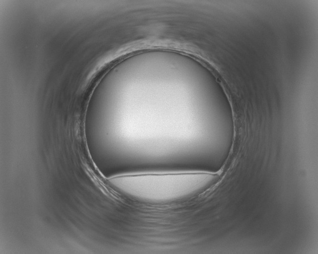 X0000080101499200612080916