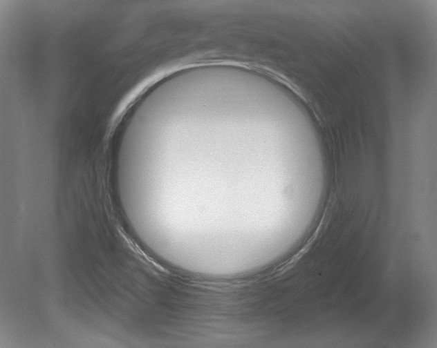 X0000080101502200612080916