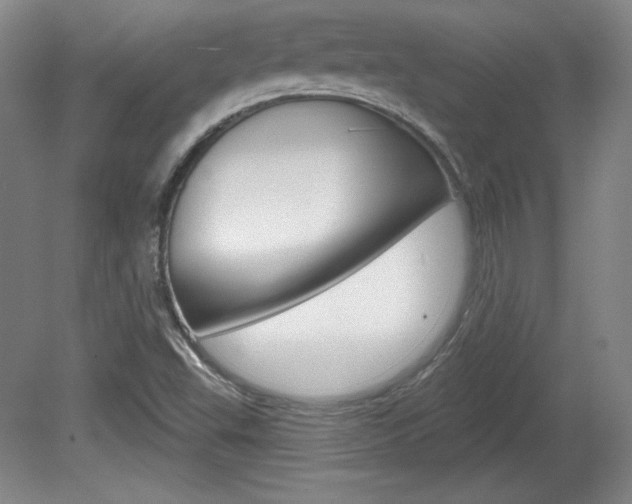 X0000080101503200612080916