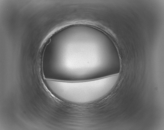 X0000080101504200612080916