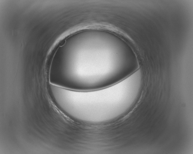 X0000080101506200612080916