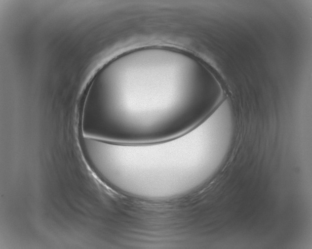 X0000080101508200612080916
