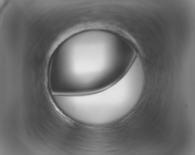 X0000080101512200612080916