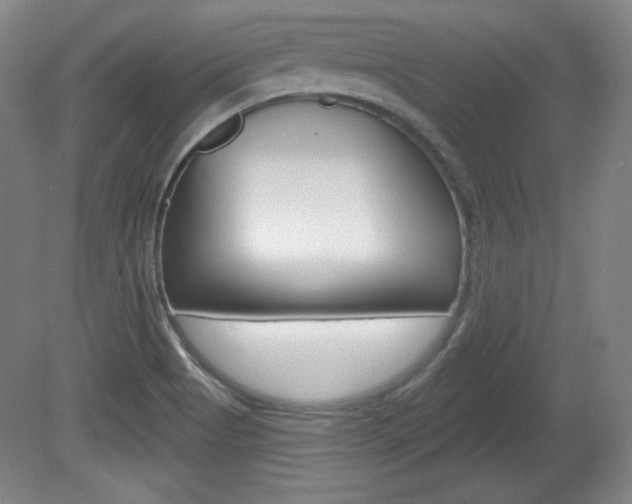 X0000080101513200612080916