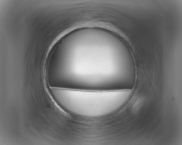 X0000080101517200612080916