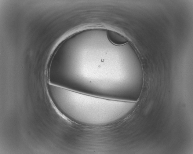 X0000080101519200612080916