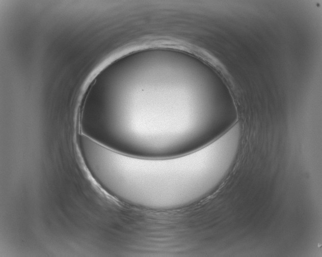 X0000080101520200612080916