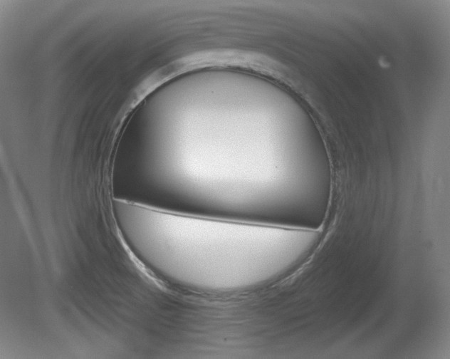 X0000080101521200612080916