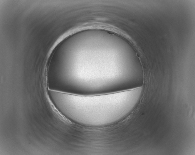 X0000080101522200612080916