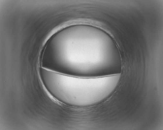 X0000080101523200612080916