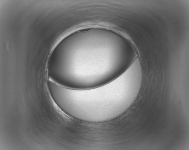 X0000080101524200612080916