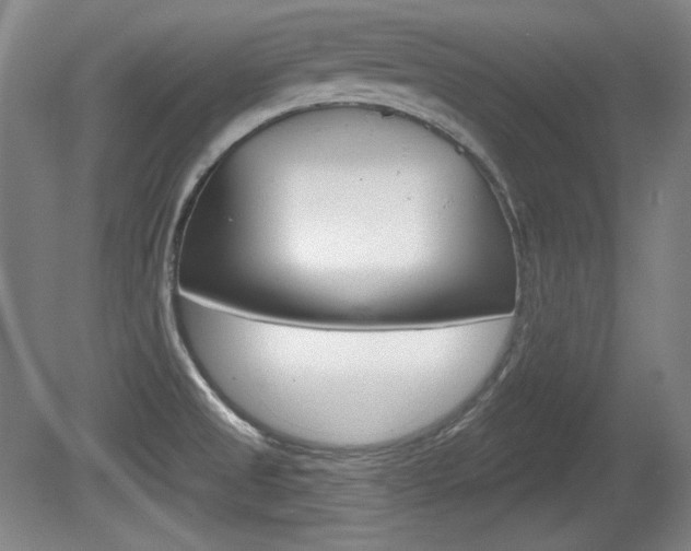 X0000080101525200612080916