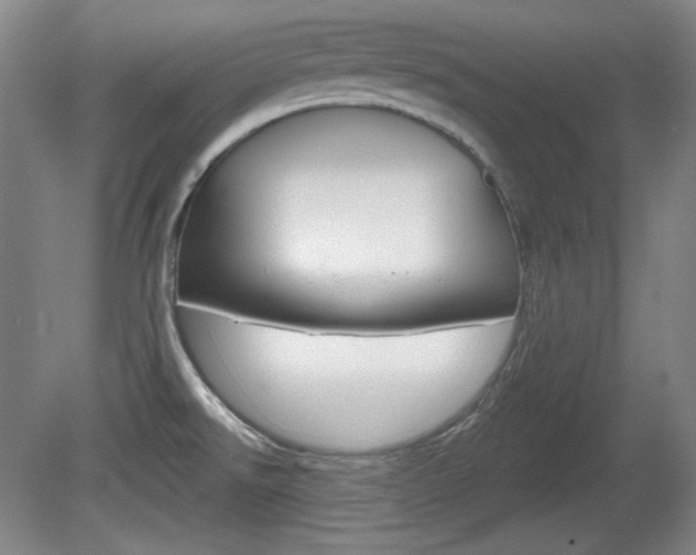 X0000080101526200612080916