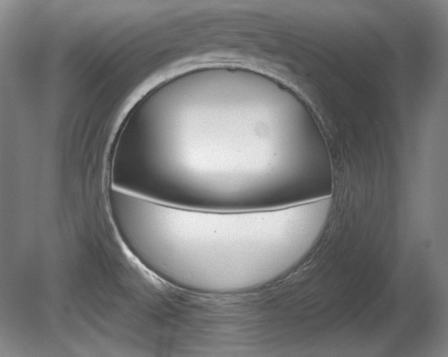 X0000080101527200612080916