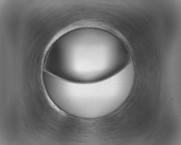 X0000080101528200612080916