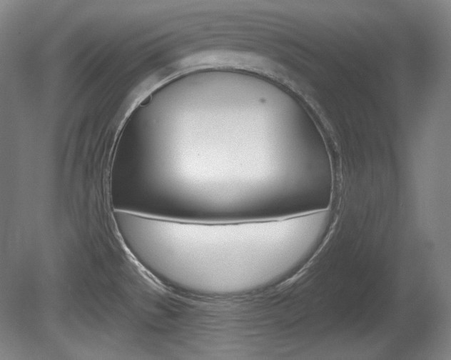 X0000080101529200612080916