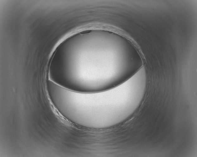 X0000080101530200612080916