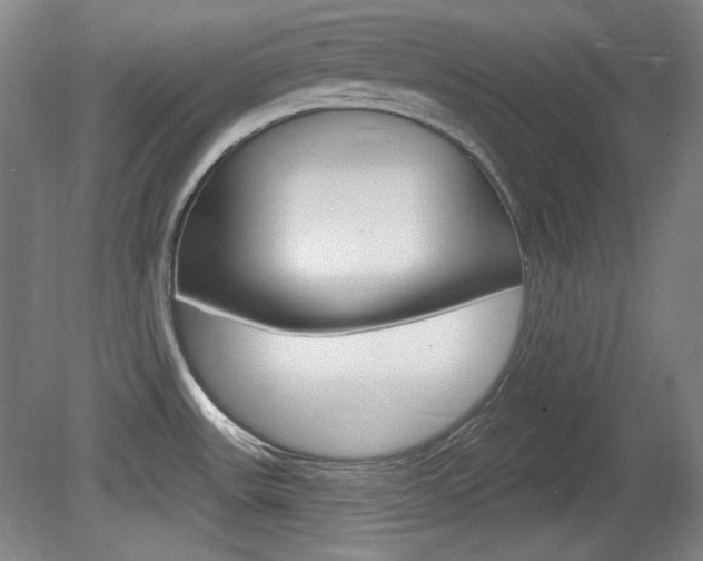 X0000080101531200612080916