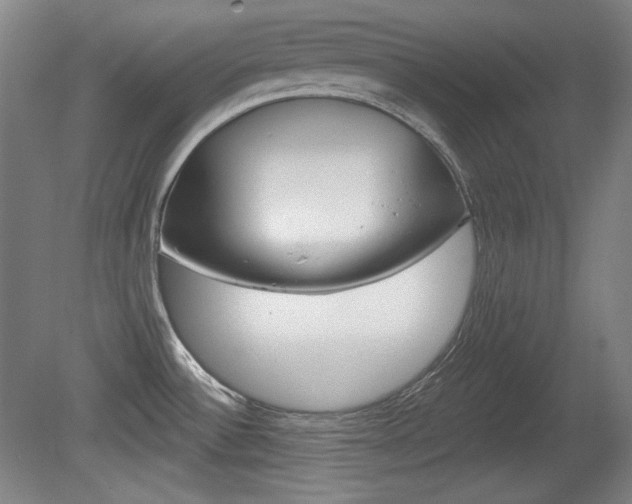 X0000080101532200612080916