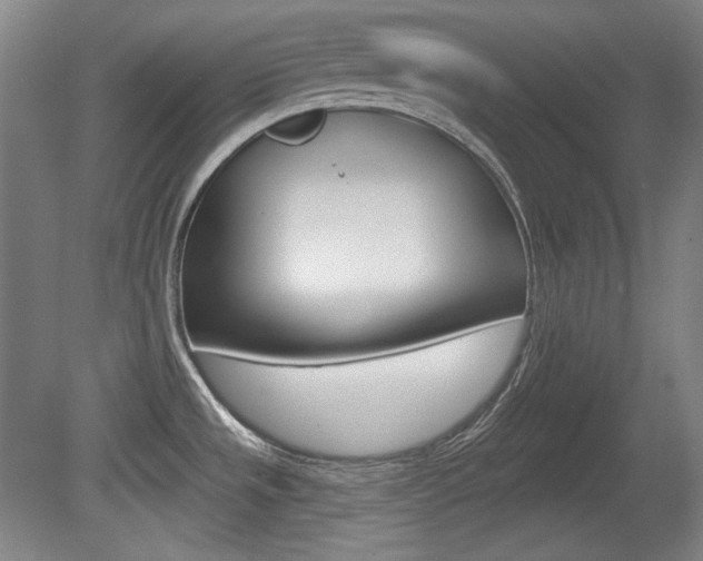 X0000080101533200612080916