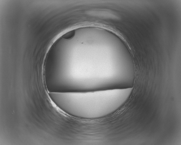 X0000080101535200612080916