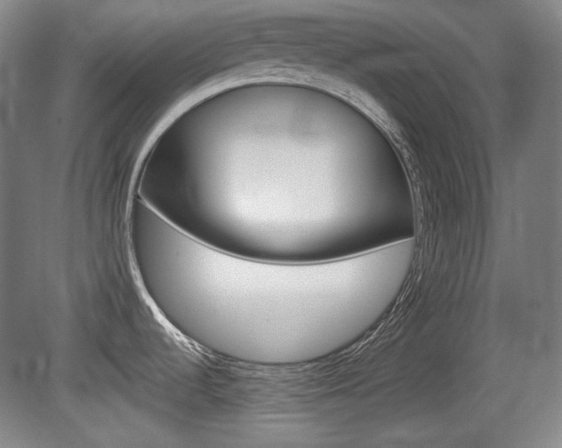 X0000080101536200612080916