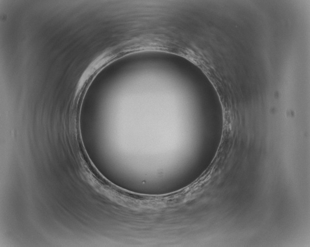 X0000080100004200612081213