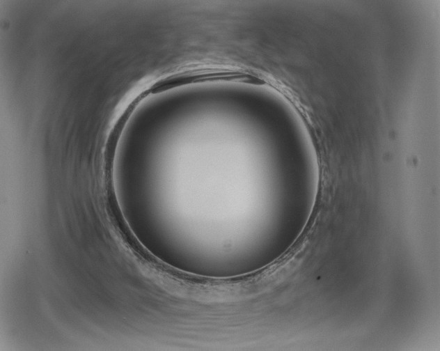 X0000080100008200612081213