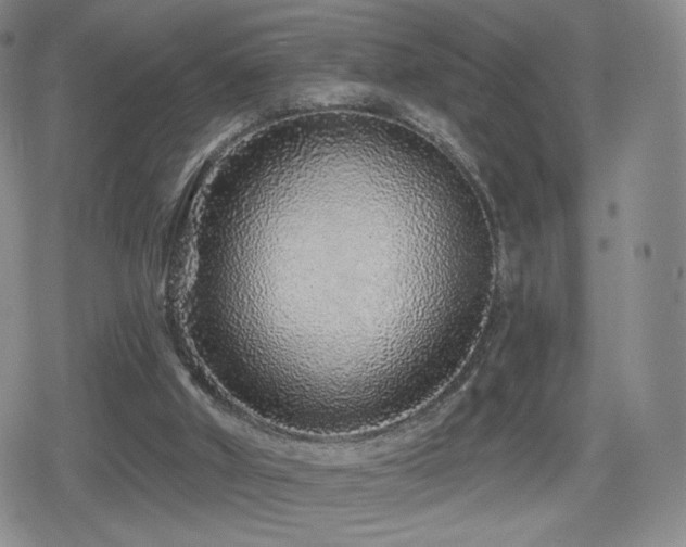 X0000080100010200612081213