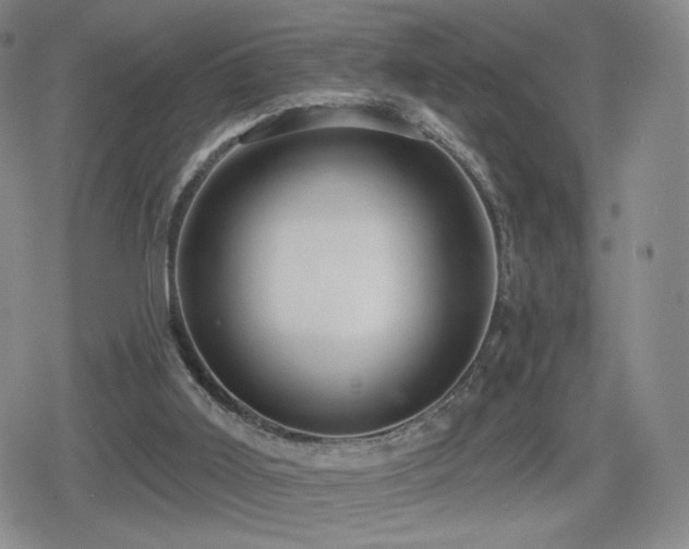 X0000080100011200612081213