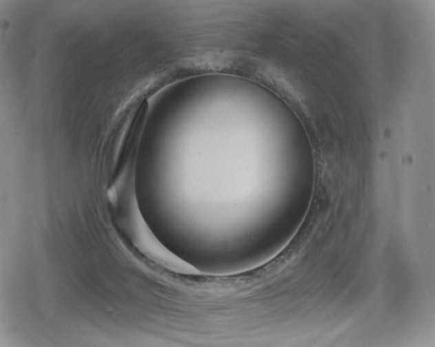 X0000080100020200612081213