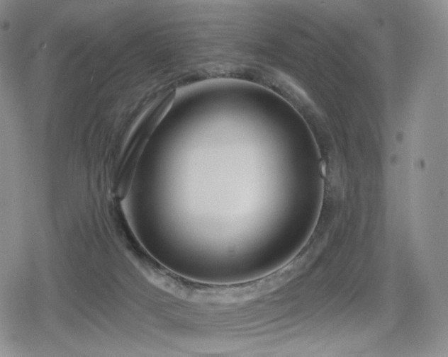X0000080100025200612081213