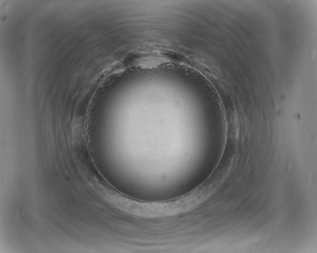 X0000080100034200612081213