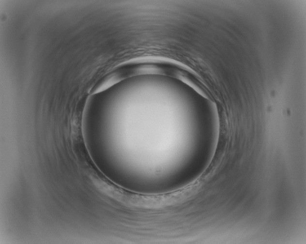 X0000080100037200612081213