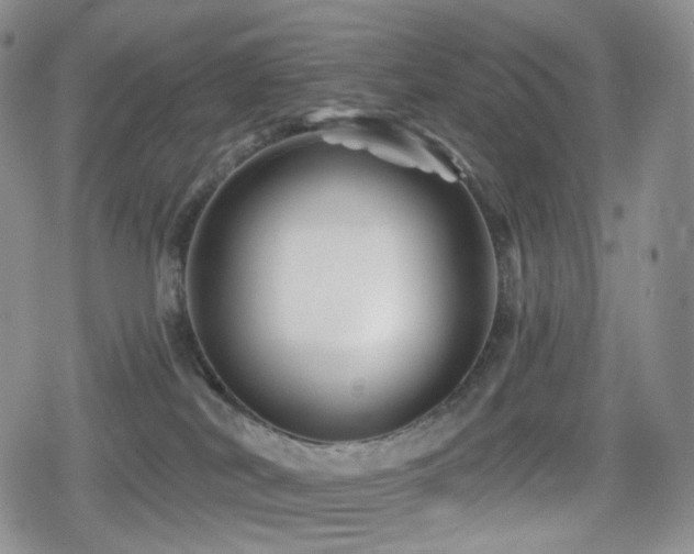 X0000080100038200612081213