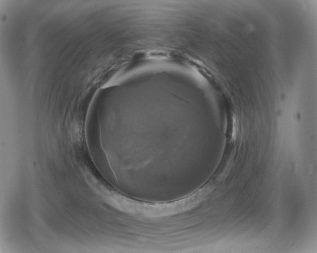 X0000080100039200612081213
