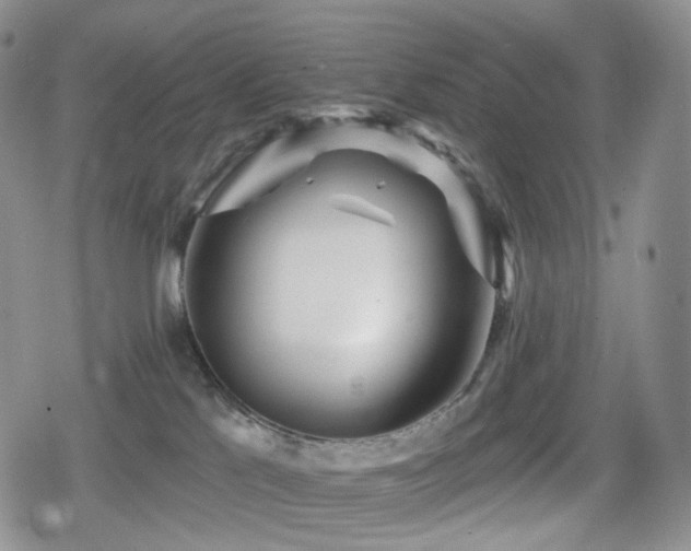 X0000080100041200612081213
