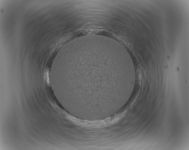 X0000080100042200612081213