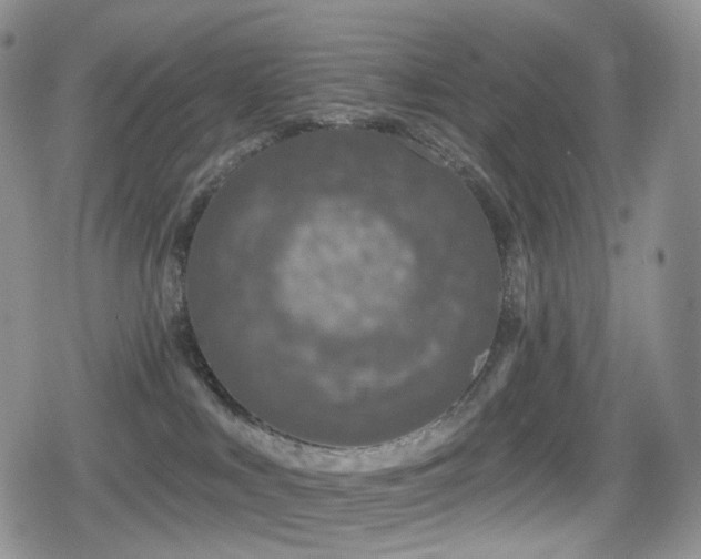 X0000080100043200612081213