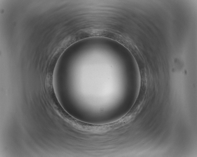 X0000080100044200612081213